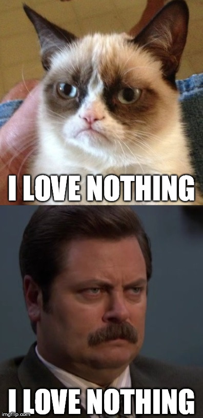 NOTHING!!! | I LOVE NOTHING I LOVE NOTHING | image tagged in memes,grumpy cat,ron swanson,love,nothing | made w/ Imgflip meme maker