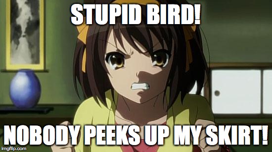 Angry Haruhi | STUPID BIRD! NOBODY PEEKS UP MY SKIRT! | image tagged in angry haruhi | made w/ Imgflip meme maker