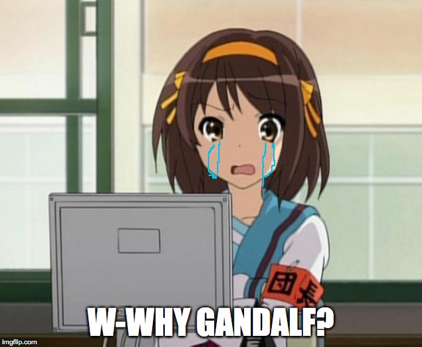 Haruhi Internet disturbed | W-WHY GANDALF? | image tagged in haruhi internet disturbed | made w/ Imgflip meme maker