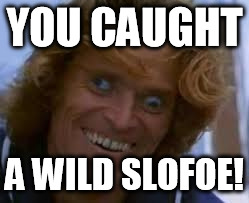 You encountered a wild Slofoe... | YOU CAUGHT A WILD SLOFOE! | image tagged in what dafoe,pokemon,slopoke,slobro,willem dafoe | made w/ Imgflip meme maker