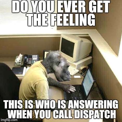 Monkey Business | DO YOU EVER GET THE FEELING THIS IS WHO IS ANSWERING  WHEN YOU CALL DISPATCH | image tagged in memes,monkey business | made w/ Imgflip meme maker