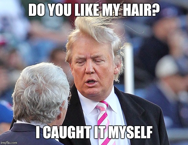 DO YOU LIKE MY HAIR? I CAUGHT IT MYSELF | image tagged in hair | made w/ Imgflip meme maker