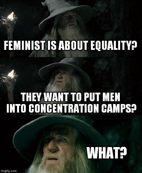 Read the dictionary please... | FEMINIST IS ABOUT EQUALITY? THEY WANT TO PUT MEN INTO CONCENTRATION CAMPS? WHAT? | image tagged in memes,confused gandalf,feminism | made w/ Imgflip meme maker