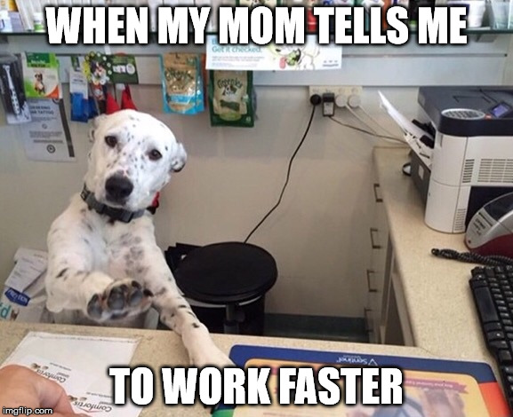 Please Wait | WHEN MY MOM TELLS ME TO WORK FASTER | image tagged in please wait | made w/ Imgflip meme maker