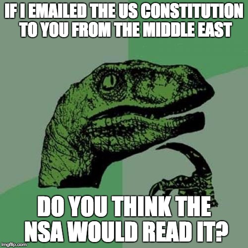 Philosoraptor | IF I EMAILED THE US CONSTITUTION TO YOU FROM THE MIDDLE EAST DO YOU THINK THE NSA WOULD READ IT? | image tagged in memes,philosoraptor | made w/ Imgflip meme maker