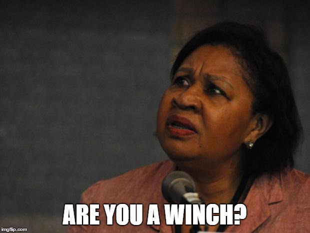 ARE YOU A WINCH? | image tagged in disgruntled black woman | made w/ Imgflip meme maker