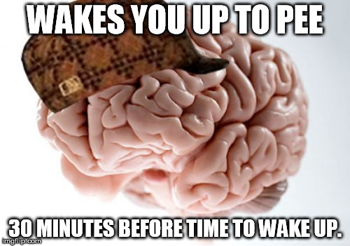 Scumbag Brain | WAKES YOU UP TO PEE 30 MINUTES BEFORE TIME TO WAKE UP. | image tagged in memes,scumbag brain | made w/ Imgflip meme maker