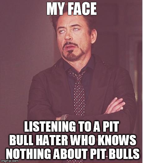 Face You Make Robert Downey Jr | MY FACE LISTENING TO A PIT BULL HATER WHO KNOWS NOTHING ABOUT PIT BULLS | image tagged in memes,face you make robert downey jr | made w/ Imgflip meme maker