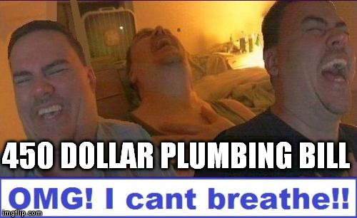 LMAO | 450 DOLLAR PLUMBING BILL | image tagged in lmao | made w/ Imgflip meme maker