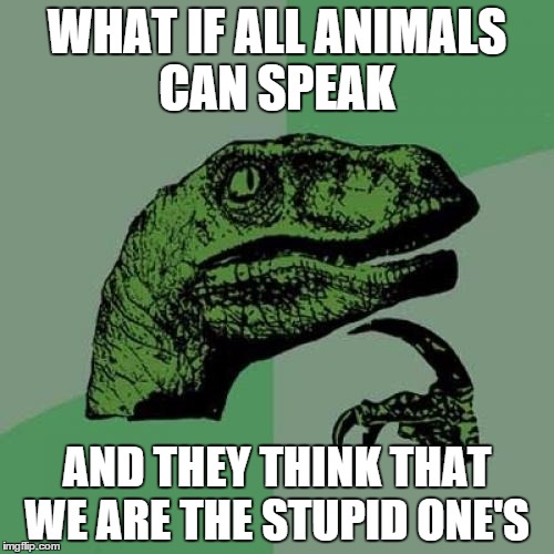 my philosophy teacher called me a dumbass today XD | WHAT IF ALL ANIMALS CAN SPEAK AND THEY THINK THAT WE ARE THE STUPID ONE'S | image tagged in memes,philosoraptor | made w/ Imgflip meme maker
