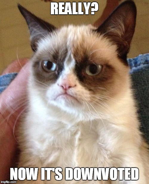 Grumpy Cat Meme | REALLY? NOW IT'S DOWNVOTED | image tagged in memes,grumpy cat | made w/ Imgflip meme maker