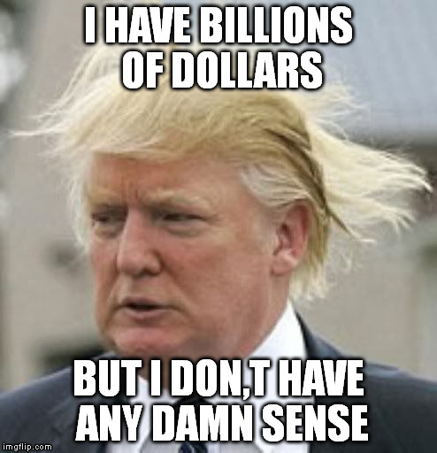 Donald Trump 1 | I HAVE BILLIONS OF DOLLARS BUT I DON,T HAVE ANY DAMN SENSE | image tagged in donald trump 1 | made w/ Imgflip meme maker