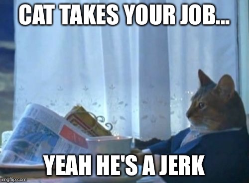 I Should Buy A Boat Cat | CAT TAKES YOUR JOB... YEAH HE'S A JERK | image tagged in memes,i should buy a boat cat | made w/ Imgflip meme maker