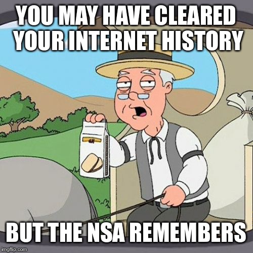 Pepperidge Farm Remembers | YOU MAY HAVE CLEARED YOUR INTERNET HISTORY BUT THE NSA REMEMBERS | image tagged in memes,pepperidge farm remembers | made w/ Imgflip meme maker