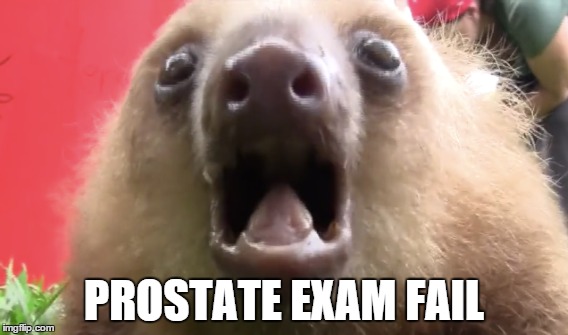 Prostate Exam fail | PROSTATE EXAM FAIL | image tagged in funny,funny meme,sloth,screaming | made w/ Imgflip meme maker