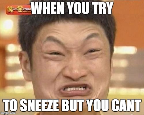 Impossibru Guy Original Meme | WHEN YOU TRY TO SNEEZE BUT YOU CANT | image tagged in memes,impossibru guy original | made w/ Imgflip meme maker