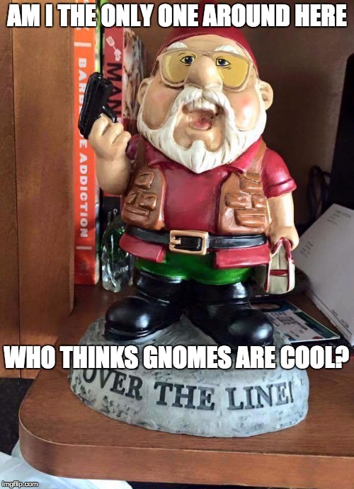 AM I THE ONLY ONE AROUND HERE WHO THINKS GNOMES ARE COOL? | image tagged in am i the only gnome around here | made w/ Imgflip meme maker
