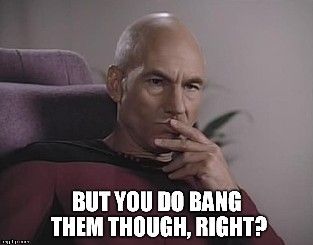 Picard My finger tastes funny 1 | BUT YOU DO BANG THEM THOUGH, RIGHT? | image tagged in picard my finger tastes funny 1 | made w/ Imgflip meme maker