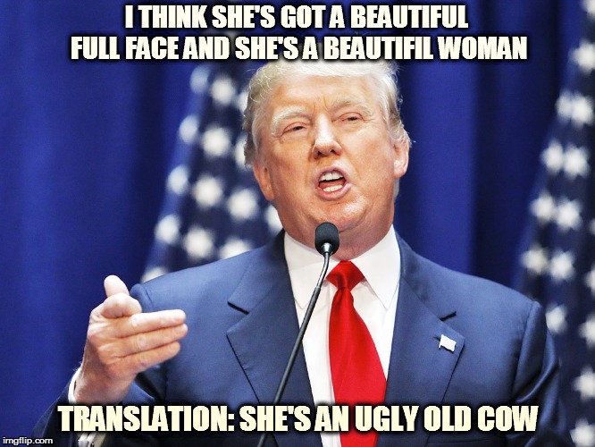 Trump | I THINK SHE'S GOT A BEAUTIFUL FULL FACE AND SHE'S A BEAUTIFIL WOMAN TRANSLATION: SHE'S AN UGLY OLD COW | image tagged in trump | made w/ Imgflip meme maker
