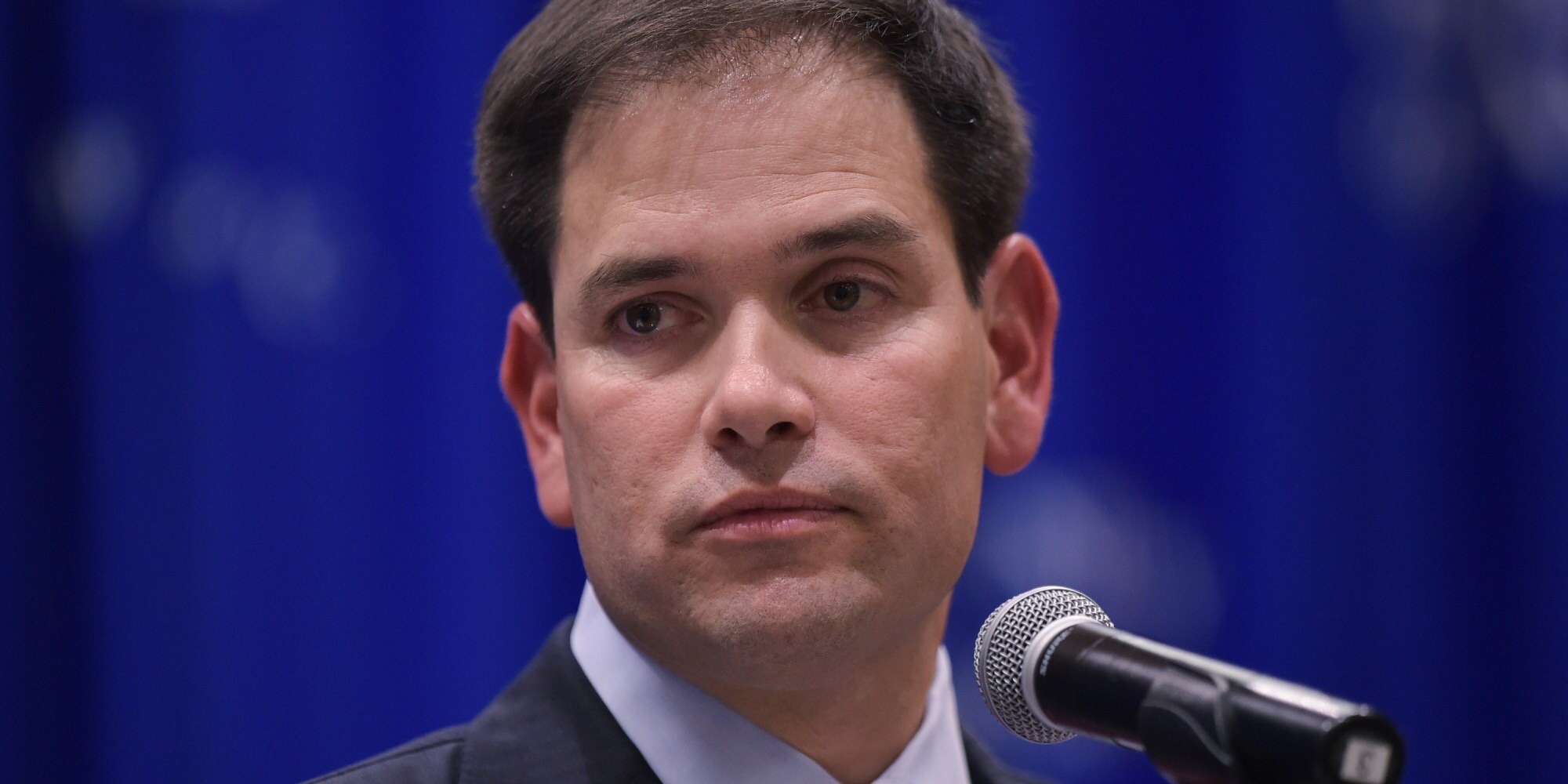 High Quality Rubio Ears Blank Meme Template