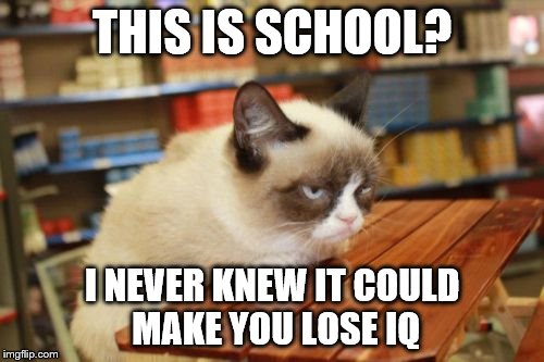 Grumpy Cat Table | THIS IS SCHOOL? I NEVER KNEW IT COULD MAKE YOU LOSE IQ | image tagged in memes,grumpy cat table | made w/ Imgflip meme maker