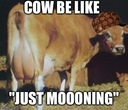 Cows like to MOON | COW BE LIKE "JUST MOOONING" | image tagged in cows,moon,butt | made w/ Imgflip meme maker