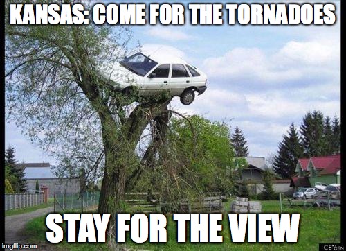 car in tree | KANSAS: COME FOR THE TORNADOES STAY FOR THE VIEW | image tagged in car in tree | made w/ Imgflip meme maker