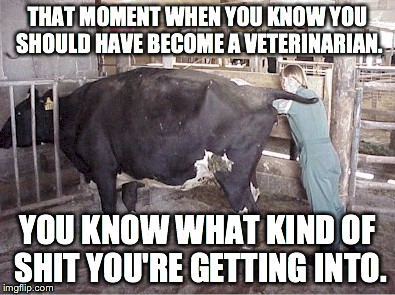 Life Decisions | THAT MOMENT WHEN YOU KNOW YOU SHOULD HAVE BECOME A VETERINARIAN. YOU KNOW WHAT KIND OF SHIT YOU'RE GETTING INTO. | image tagged in lifedecisions,work | made w/ Imgflip meme maker