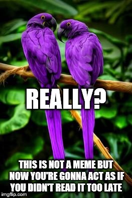THIS IS NOT A MEME BUT NOW YOU'RE GONNA ACT AS IF YOU DIDN'T READ IT TOO LATE REALLY? | image tagged in angry birds,purple minion | made w/ Imgflip meme maker