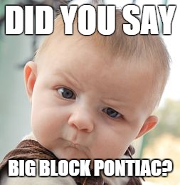Skeptical Baby | DID YOU SAY BIG BLOCK PONTIAC? | image tagged in memes,skeptical baby | made w/ Imgflip meme maker