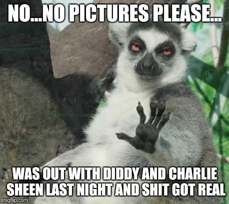 Stoner Lemur Meme | NO...NO PICTURES PLEASE... WAS OUT WITH DIDDY AND CHARLIE SHEEN LAST NIGHT AND SHIT GOT REAL | image tagged in memes,stoner lemur | made w/ Imgflip meme maker