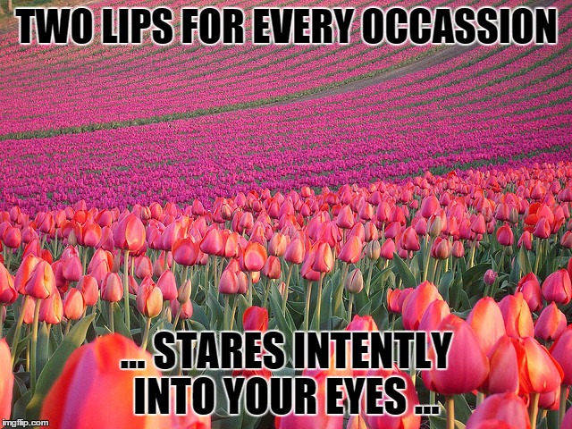Pink Tulips | TWO LIPS FOR EVERY OCCASSION ... STARES INTENTLY INTO YOUR EYES ... | image tagged in pink tulips | made w/ Imgflip meme maker