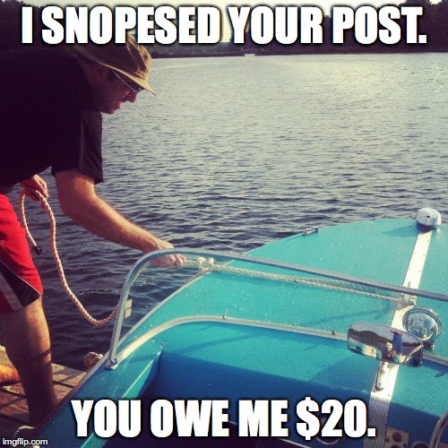 I SNOPESED YOUR POST | I SNOPESED YOUR POST. YOU OWE ME $20. | image tagged in snopes,20 | made w/ Imgflip meme maker