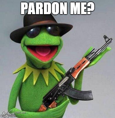 kermit ak | PARDON ME? | image tagged in kermit ak | made w/ Imgflip meme maker