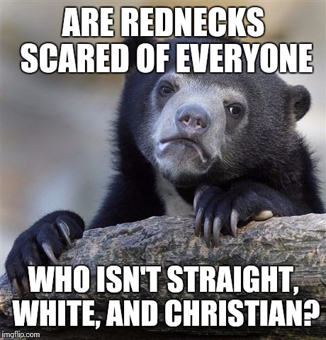If you want people to stop stereotyping you, you have to stop living up to the stereotype. | ARE REDNECKS SCARED OF EVERYONE WHO ISN'T STRAIGHT, WHITE, AND CHRISTIAN? | image tagged in memes,confession bear | made w/ Imgflip meme maker