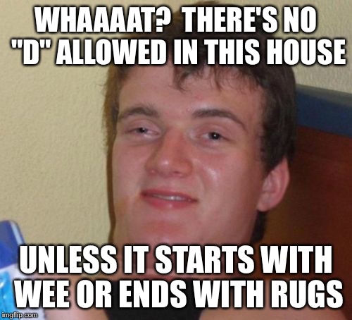 High Asian Father With Expectations | WHAAAAT?  THERE'S NO "D" ALLOWED IN THIS HOUSE UNLESS IT STARTS WITH WEE OR ENDS WITH RUGS | image tagged in memes,10 guy | made w/ Imgflip meme maker