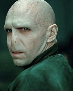 Voldemort Blank Meme Template