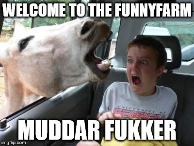 horsesass | WELCOME TO THE FUNNYFARM MUDDAR FUKKER | image tagged in horsesass | made w/ Imgflip meme maker