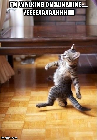 I'm Walking On Sunshine | I'M WALKING ON SUNSHINE..... YEEEEAAAAAHHHHH | image tagged in memes,cool cat stroll | made w/ Imgflip meme maker