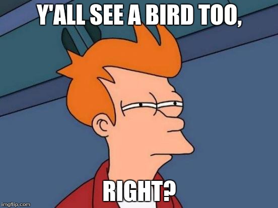Futurama Fry Meme | Y'ALL SEE A BIRD TOO, RIGHT? | image tagged in memes,futurama fry | made w/ Imgflip meme maker