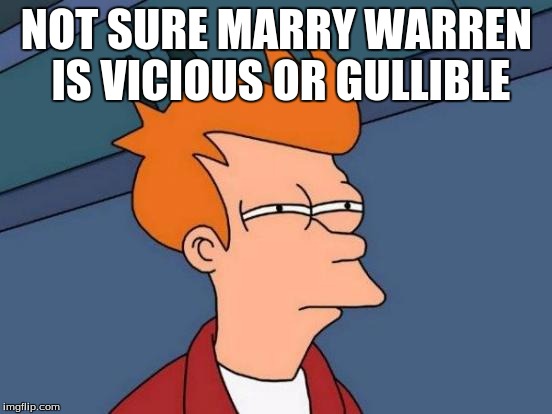 Futurama Fry Meme | NOT SURE MARRY WARREN IS VICIOUS OR GULLIBLE | image tagged in memes,futurama fry | made w/ Imgflip meme maker