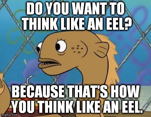 Sadly I Am Only An Eel Meme DO YOU WANT TO THINK LIKE AN EEL? 