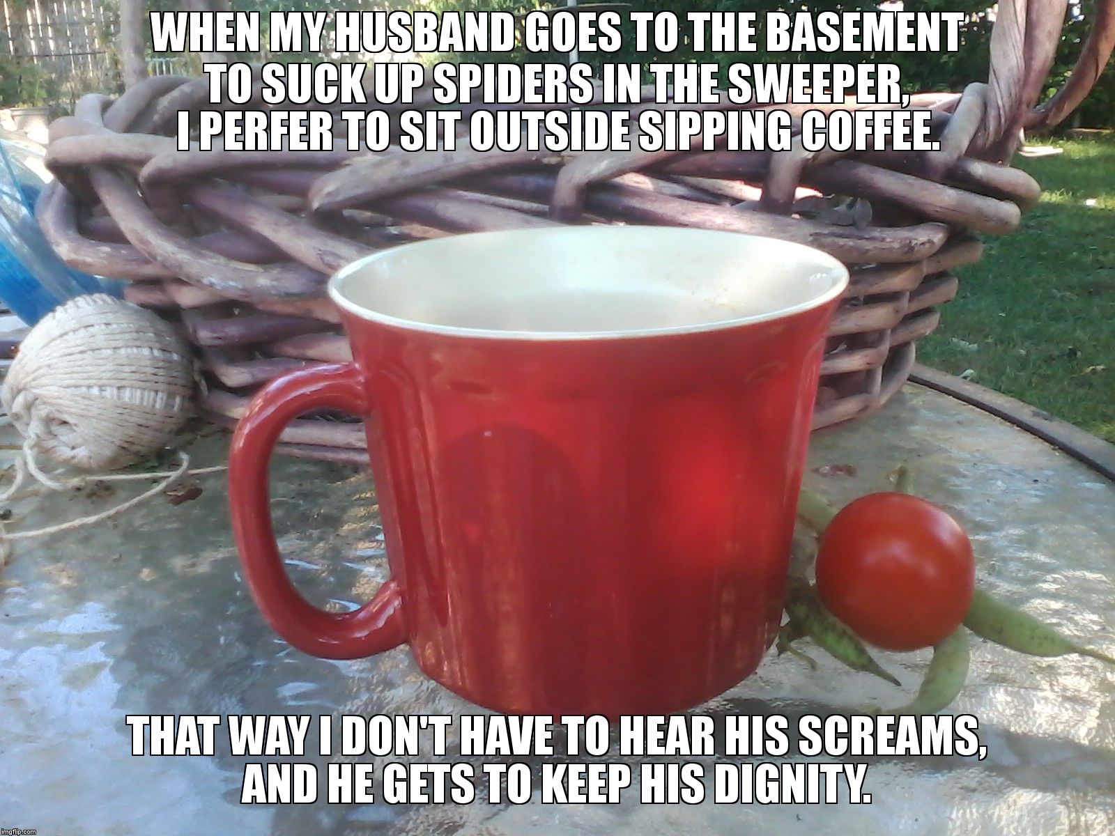 WHEN MY HUSBAND GOES TO THE BASEMENT TO SUCK UP SPIDERS IN THE SWEEPER, I PERFER TO SIT OUTSIDE SIPPING COFFEE. THAT WAY I DON'T HAVE TO HEA | image tagged in dignity | made w/ Imgflip meme maker