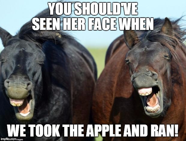 Horses | YOU SHOULD'VE SEEN HER FACE WHEN WE TOOK THE APPLE AND RAN! | image tagged in horses | made w/ Imgflip meme maker