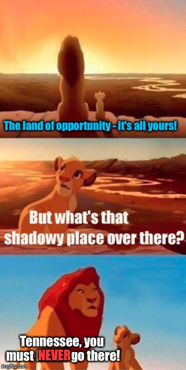 United States | The land of opportunity - it's all yours! Tennessee, you must NEVER go there! NEVER | image tagged in memes,simba shadowy place | made w/ Imgflip meme maker