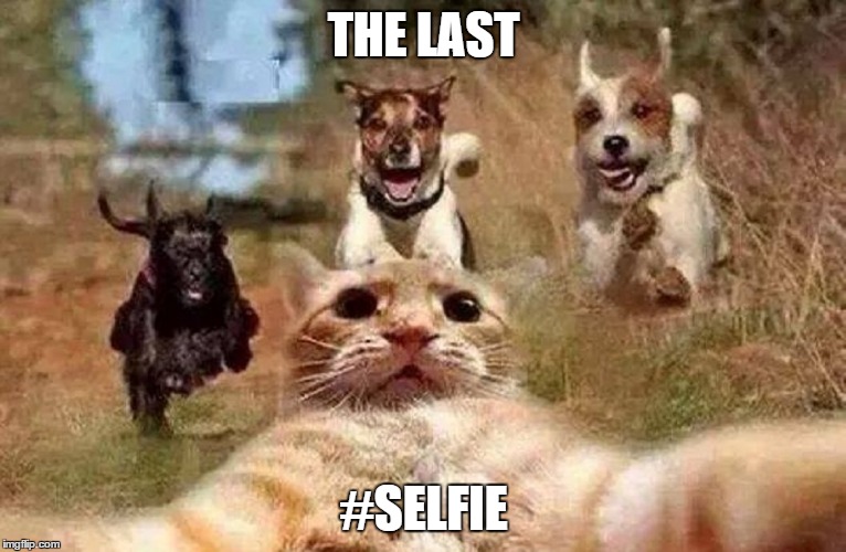 THE LAST #SELFIE | image tagged in last selfie | made w/ Imgflip meme maker