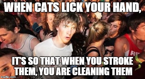 Sudden Clarity Clarence | WHEN CATS LICK YOUR HAND, IT'S SO THAT WHEN YOU STROKE THEM, YOU ARE CLEANING THEM | image tagged in memes,sudden clarity clarence | made w/ Imgflip meme maker