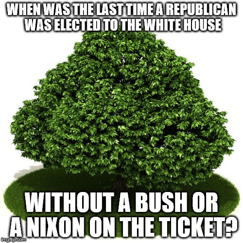 Riddle | WHEN WAS THE LAST TIME A REPUBLICAN WAS ELECTED TO THE WHITE HOUSE WITHOUT A BUSH OR A NIXON ON THE TICKET? | image tagged in bush,nixon,republican,riddle | made w/ Imgflip meme maker