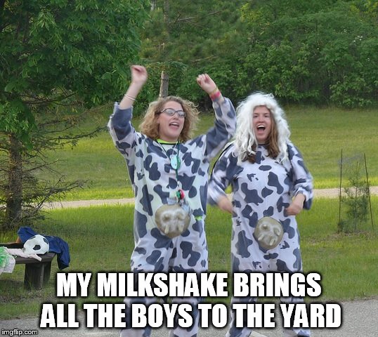 Funny cow shaking | MY MILKSHAKE BRINGS ALL THE BOYS TO THE YARD | image tagged in milkshakes | made w/ Imgflip meme maker