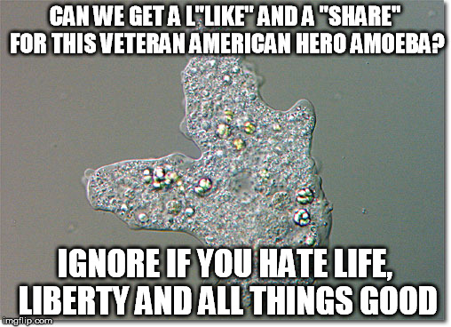 CAN WE GET A L"LIKE" AND A "SHARE" FOR THIS VETERAN AMERICAN HERO AMOEBA? IGNORE IF YOU HATE LIFE, LIBERTY AND ALL THINGS GOOD | image tagged in amoeba | made w/ Imgflip meme maker